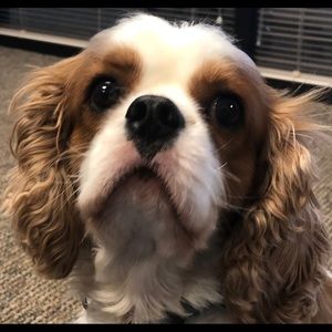 Meet your Posher, Erin